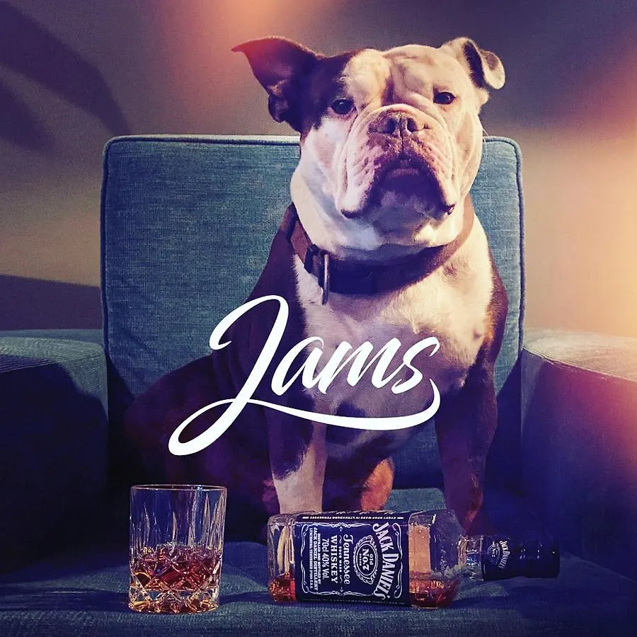 Jams Music Hotel 慕尼黑 4*,